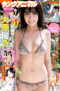 是偶然吗电视剧全集免费播放