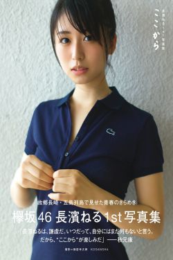 洋具是什么意思啊